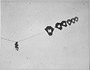 perkins man-carrying kite 1918